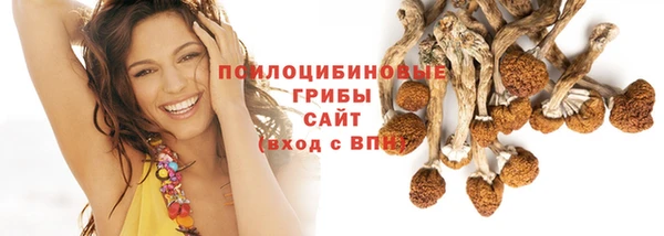 а пвп мука Ельня