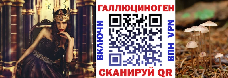 Купить  Тимашёвск  Псилоцибиновые грибы GOLDEN TEACHER 