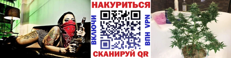 Купить где  Тимашёвск  Конопля гибрид 